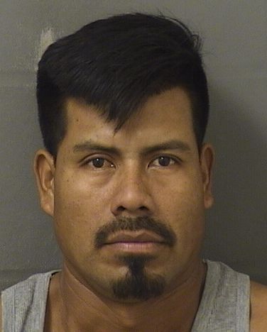 DAUILMAR JORGE VASQUEZGUTIERREZ Photos For  DAUILMAR JORGE VASQUEZGUTIERREZ  DAUILMAR JORGE VASQUEZGUTIERREZ Photo For  DAUILMAR JORGE VASQUEZGUTIERREZ