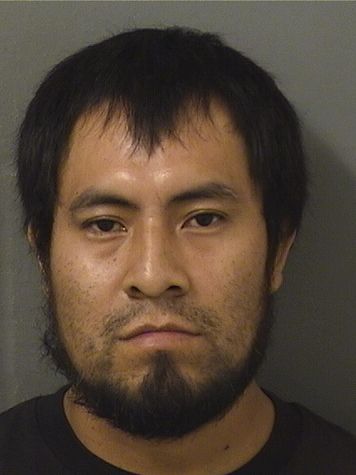  ALEJANDRO MONTECINO MORALES Results from Palm Beach County Florida for  ALEJANDRO MONTECINO MORALES