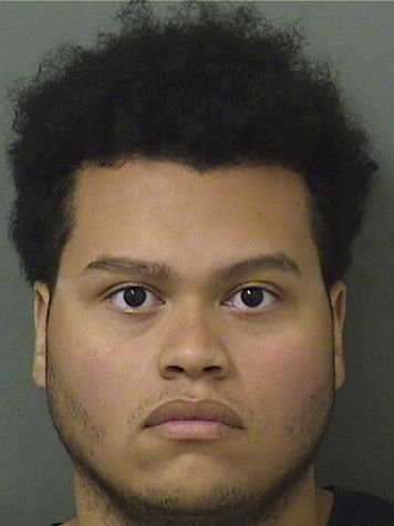  MATTHEW G PEREZ Results from Palm Beach County Florida for  MATTHEW G PEREZ