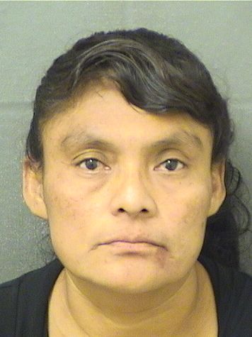  GUZMAN VALENTINA CINTILLIO Photo For  GUZMAN VALENTINA CINTILLIO