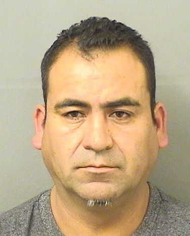 LEONARDO CALDERONMURILLO Results from Palm Beach County Florida for LEONARDO CALDERONMURILLO LEONARDO CALDERONMURILLO Results from Palm Beach County Florida for LEONARDO CALDERONMURILLO