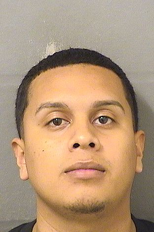  DILBER MALDONADORIVAS Results from Palm Beach County Florida for  DILBER MALDONADORIVAS