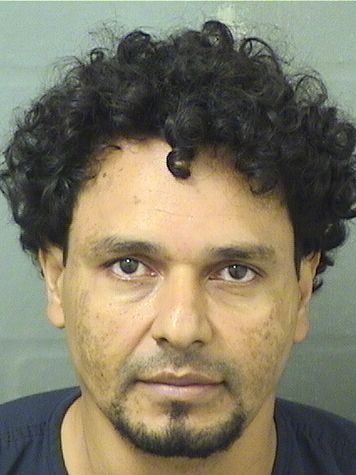  VICTOR MANUEL ALFAROMONCADA Results from Palm Beach County Florida for  VICTOR MANUEL ALFAROMONCADA