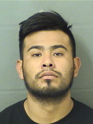  ABIMAEL DEDHOBALTAZAR Results from Palm Beach County Florida for  ABIMAEL DEDHOBALTAZAR