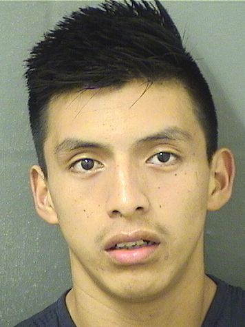  FABIO MENDEZPEREZ Results from Palm Beach County Florida for  FABIO MENDEZPEREZ