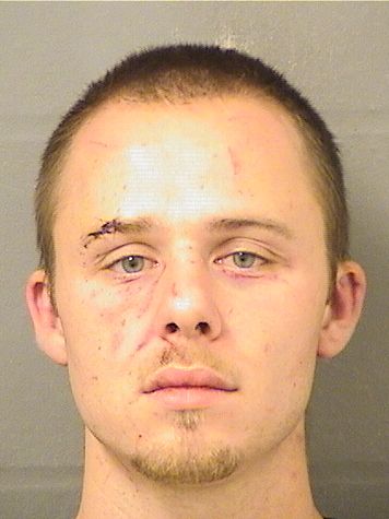  COLTON LAWRENCE COLLINS Resultados de la busqueda para Palm Beach County Florida para  COLTON LAWRENCE COLLINS