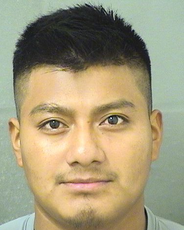  VICTOR MATEO CANO Results from Palm Beach County Florida for  VICTOR MATEO CANO