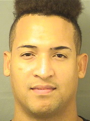  EURY JOHAN ABREUHERRERA Results from Palm Beach County Florida for  EURY JOHAN ABREUHERRERA