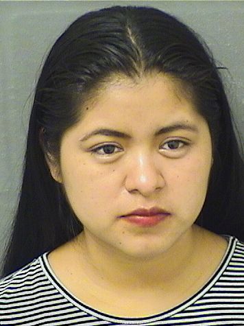  MARIA ELENA LOPEZORTIZ Results from Palm Beach County Florida for  MARIA ELENA LOPEZORTIZ