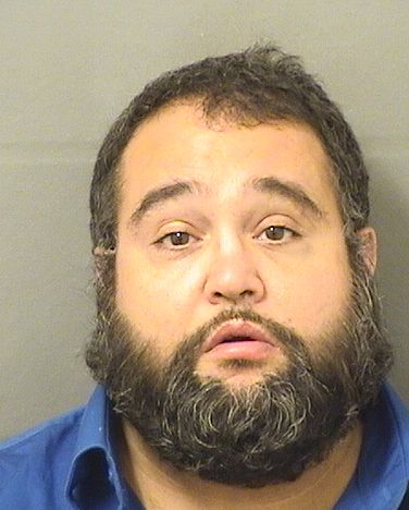  MICHAEL MATHIAK Results from Palm Beach County Florida for  MICHAEL MATHIAK