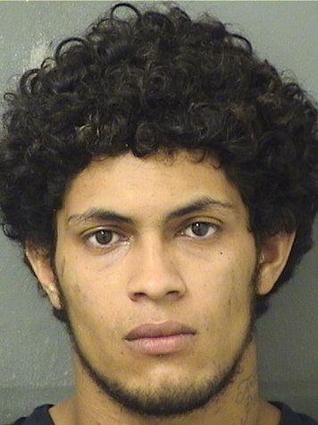 JUAN JOSE ACOSTAHERNANDEZ Results from Palm Beach County Florida for  JUAN JOSE ACOSTAHERNANDEZ