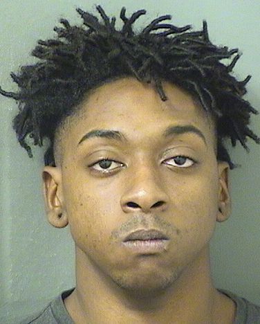 MERCEL THOMASJAMES ELLISON Results from Palm Beach County Florida for  MERCEL THOMASJAMES ELLISON