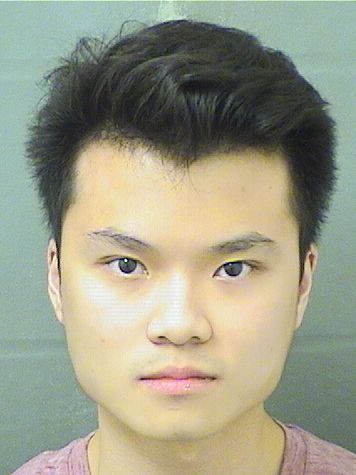  BRANDON MICHAELSY QUE Results from Palm Beach County Florida for  BRANDON MICHAELSY QUE