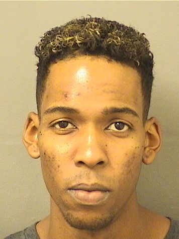  CARLOS M LIMONTA Results from Palm Beach County Florida for  CARLOS M LIMONTA