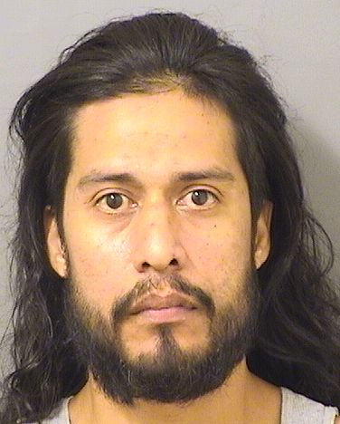  JUAN LEONARDO RAUDEZ Results from Palm Beach County Florida for  JUAN LEONARDO RAUDEZ