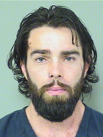  JAMES ALEXANDER DICKERSON Results from Palm Beach County Florida for  JAMES ALEXANDER DICKERSON