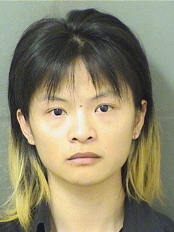  WENHUI YANG Resultados de la busqueda para Palm Beach County Florida para  WENHUI YANG