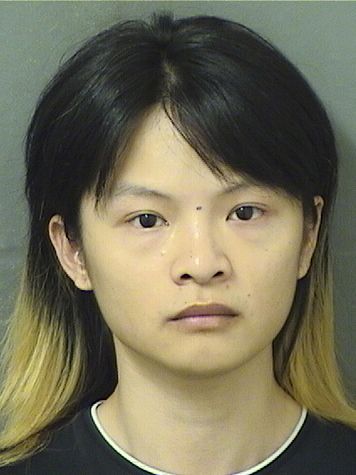  WENHUI YANG Results from Palm Beach County Florida for  WENHUI YANG