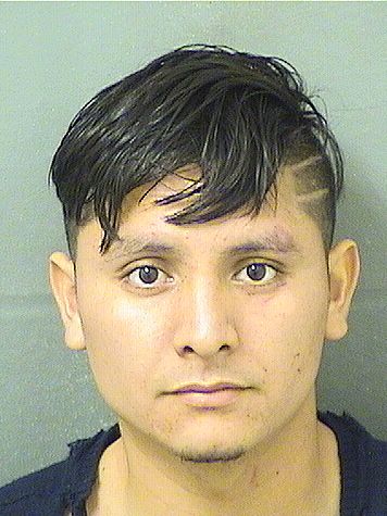  JAMILTON JONATHAN MARTINEZLOPEZ Results from Palm Beach County Florida for  JAMILTON JONATHAN MARTINEZLOPEZ