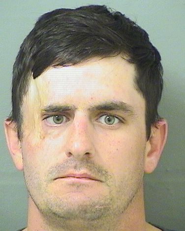  DAVID GARDNER III MACINTOSH Results from Palm Beach County Florida for  DAVID GARDNER III MACINTOSH