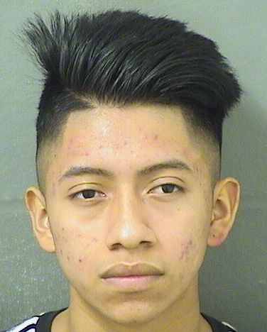  TOMAS EMANUEL CHELVELASCO Results from Palm Beach County Florida for  TOMAS EMANUEL CHELVELASCO