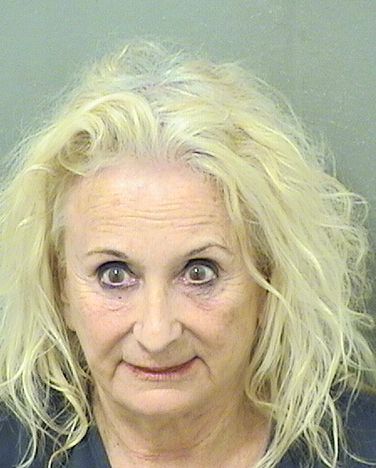  EILEEN A HICKEY Results from Palm Beach County Florida for  EILEEN A HICKEY