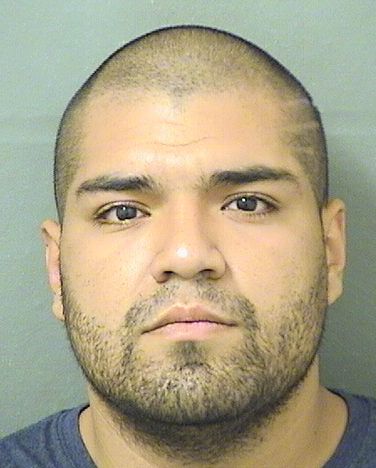  BRIAN ROSALINO BENAVIDES Results from Palm Beach County Florida for  BRIAN ROSALINO BENAVIDES