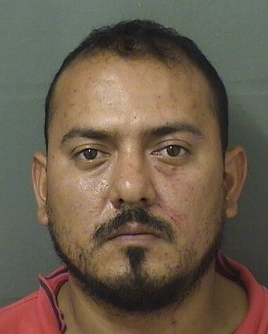  MAURICO F VILLALPANDOGAITAN Results from Palm Beach County Florida for  MAURICO F VILLALPANDOGAITAN