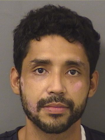  RICARDO PIEDRAHITAVELASCO Results from Palm Beach County Florida for  RICARDO PIEDRAHITAVELASCO