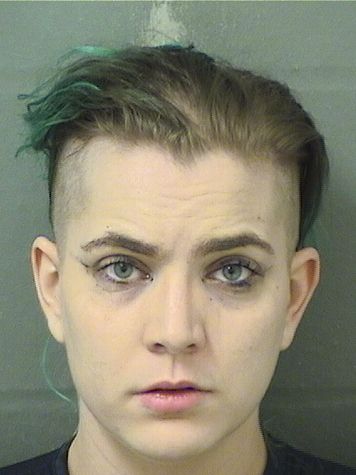  KAYLA ANN URSINI Results from Palm Beach County Florida for  KAYLA ANN URSINI