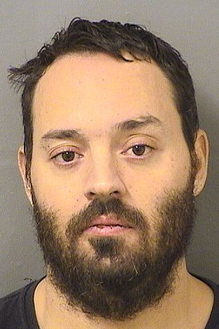  MICHAEL ANTHONY PALAGI Results from Palm Beach County Florida for  MICHAEL ANTHONY PALAGI