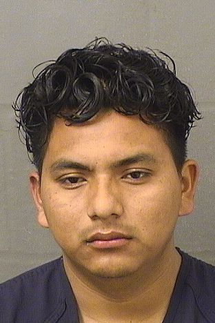  MIGUEL ANGEL ORTIZORDONEZ Results from Palm Beach County Florida for  MIGUEL ANGEL ORTIZORDONEZ