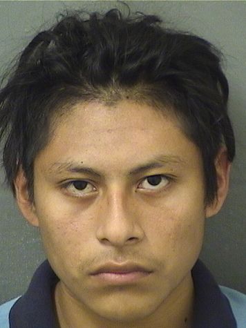  GUSTAVO A XICOLLIMA Results from Palm Beach County Florida for  GUSTAVO A XICOLLIMA