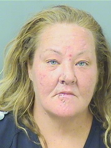  RHONDA LYNN KLEMENTOWSKI Results from Palm Beach County Florida for  RHONDA LYNN KLEMENTOWSKI