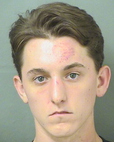  ERIC MICHAEL BOISVERT Results from Palm Beach County Florida for  ERIC MICHAEL BOISVERT