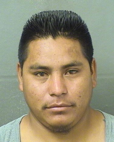  SEBASTIAN TOMASFRANCISCO Photo