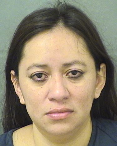  IRENE MONFILMATUS Results from Palm Beach County Florida for  IRENE MONFILMATUS