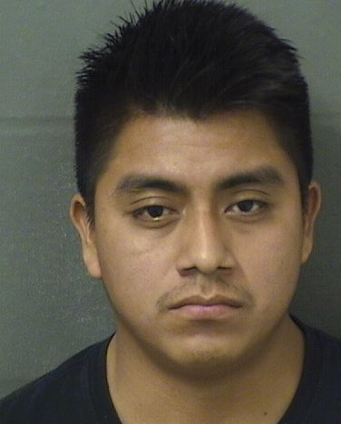  BERNARDO BARNABE FRANCISCOJUAN Results from Palm Beach County Florida for  BERNARDO BARNABE FRANCISCOJUAN