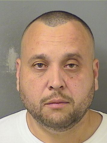  ANGEL HUMBERTO GRIMALDOCOLINA Results from Palm Beach County Florida for  ANGEL HUMBERTO GRIMALDOCOLINA