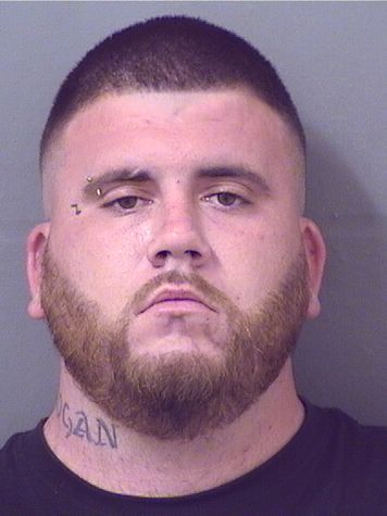  DYLAN MATTHEW MARTIN Results from Palm Beach County Florida for  DYLAN MATTHEW MARTIN