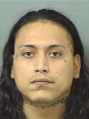  KEVIN JESUS PESANTES Results from Palm Beach County Florida for  KEVIN JESUS PESANTES