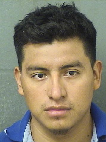  CESAR AUGUSTO LOPEZDOMINGO Results from Palm Beach County Florida for  CESAR AUGUSTO LOPEZDOMINGO