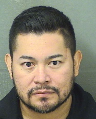  CHRISTIAN MANUEL TORRESSANCHEZ Results from Palm Beach County Florida for  CHRISTIAN MANUEL TORRESSANCHEZ