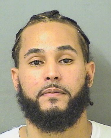  DAIVON L MITCHELL Results from Palm Beach County Florida for  DAIVON L MITCHELL