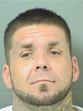  SHANE MICHAEL FIELDS Results from Palm Beach County Florida for  SHANE MICHAEL FIELDS