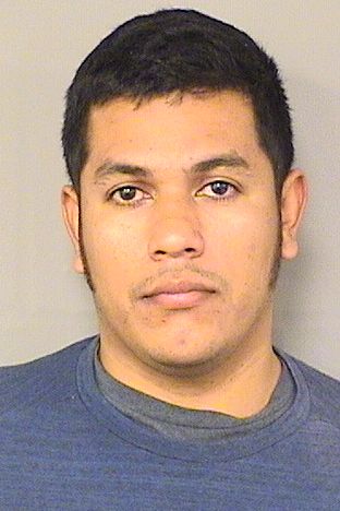  MICHAEL RIVERAESPINO Results from Palm Beach County Florida for  MICHAEL RIVERAESPINO