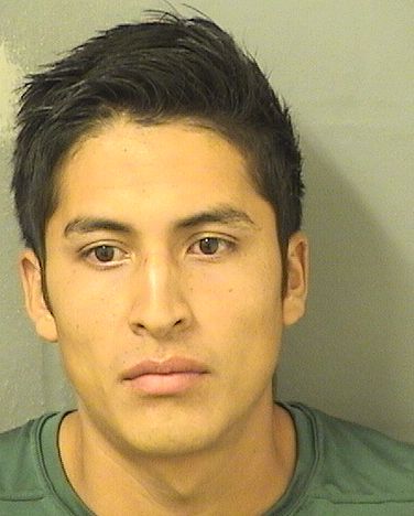  ALFONSO MAZARIEGOSLOPEZ Results from Palm Beach County Florida for  ALFONSO MAZARIEGOSLOPEZ