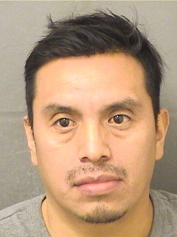  FIDEL ALFREDO GOMEZORDONEZ Resultados de la busqueda para Palm Beach County Florida para  FIDEL ALFREDO GOMEZORDONEZ