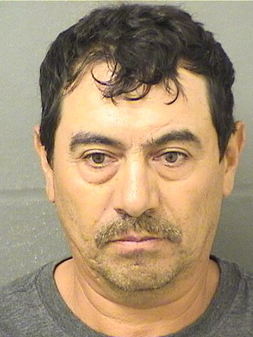  MARIO OCAMPOTREJO Resultados de la busqueda para Palm Beach County Florida para  MARIO OCAMPOTREJO