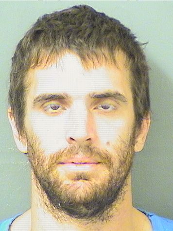  CRISTIAN JOSE LAPRIDA Results from Palm Beach County Florida for  CRISTIAN JOSE LAPRIDA